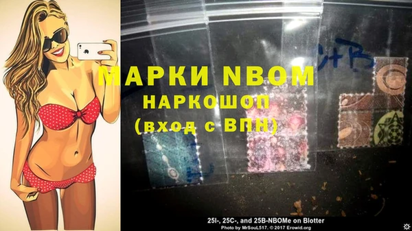 крисы Баксан