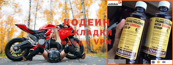 гидра Киренск