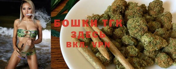 МДПВ Козловка