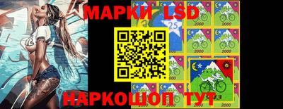 альфа пвп Новодвинск