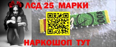 альфа пвп Новодвинск
