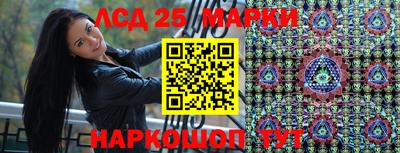 альфа пвп Новодвинск