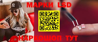 альфа пвп Новодвинск