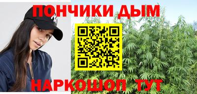 альфа пвп Новодвинск