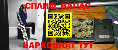 мяу мяу мука Новозыбков