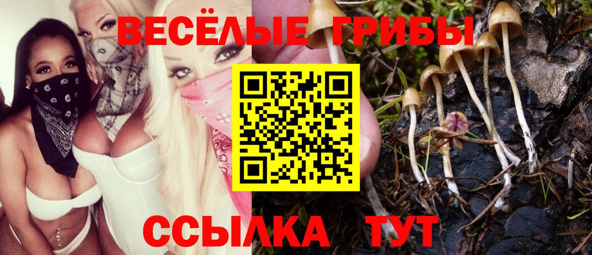 Углич  Галлюциногенные грибы Cubensis  Вход с VPN 